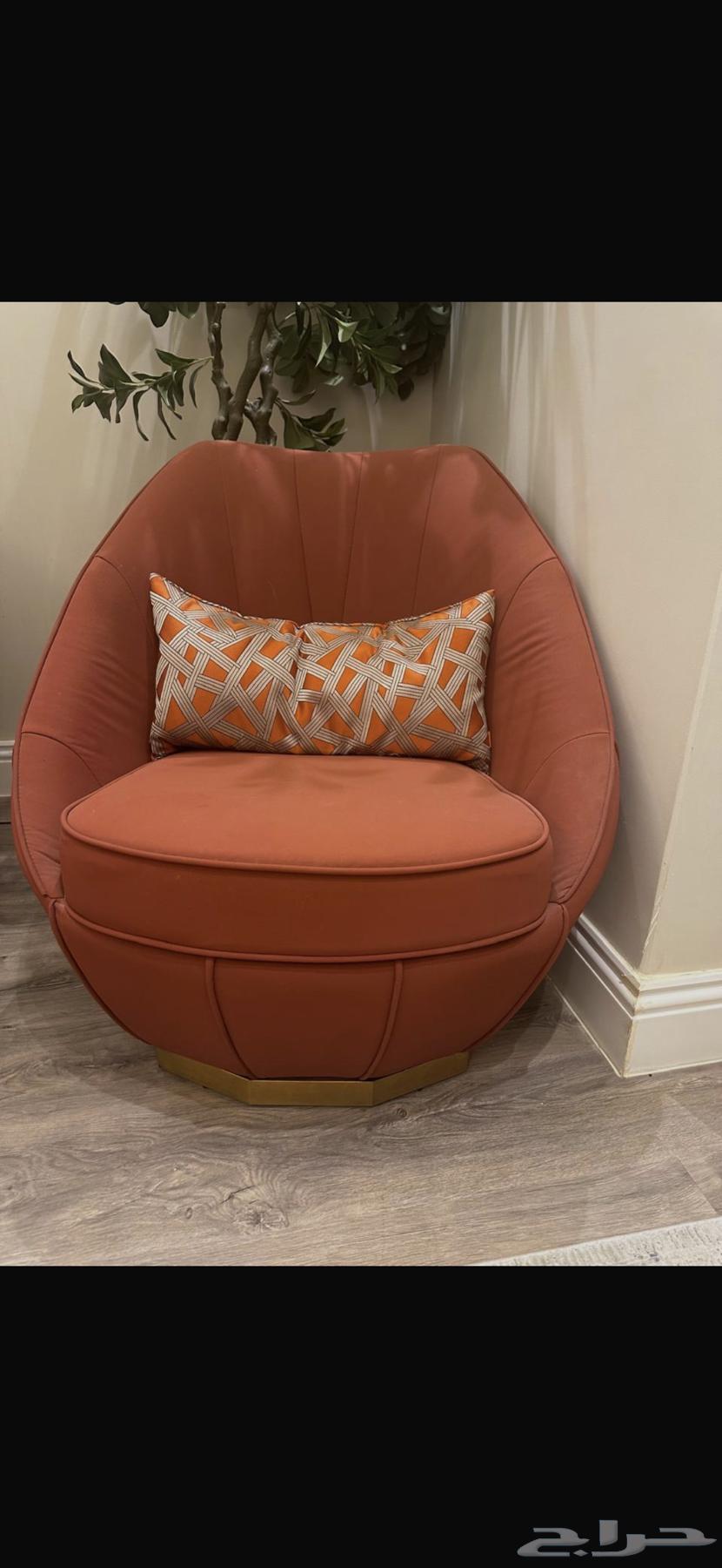 Elegant chair, modern contemporary model with distinctive design and matte gold base color64255393216385110