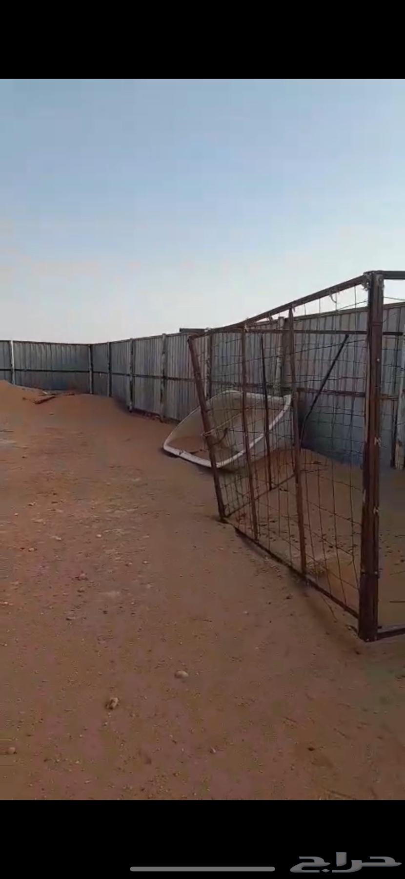 للبيع شينكو شرق الخرج مظلة حلال64253286080898113