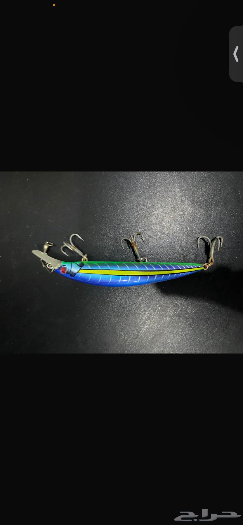 جقات ولورات وفاره للبيع الصامل ما بقصر معاه64232696922625114