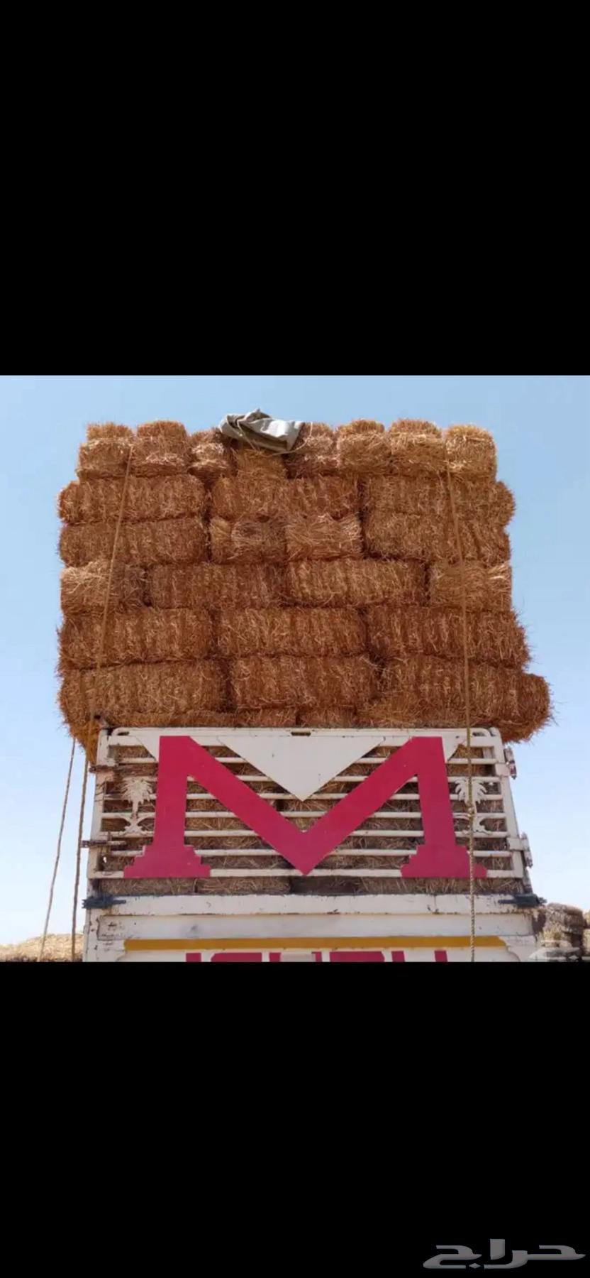 Nadi Company Wheat Straw Feed64243169921537112