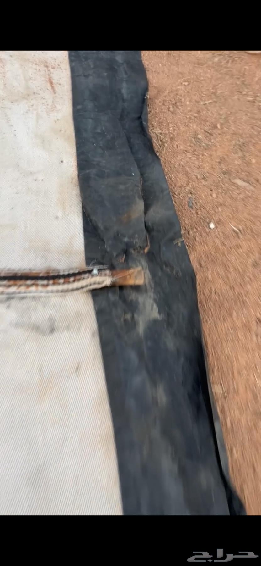 بيت شعر ابيض عمودين 8في 564240892762627112