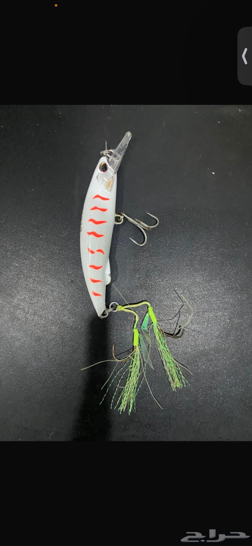 جقات ولورات وفاره للبيع الصامل ما بقصر معاه64232696922625110