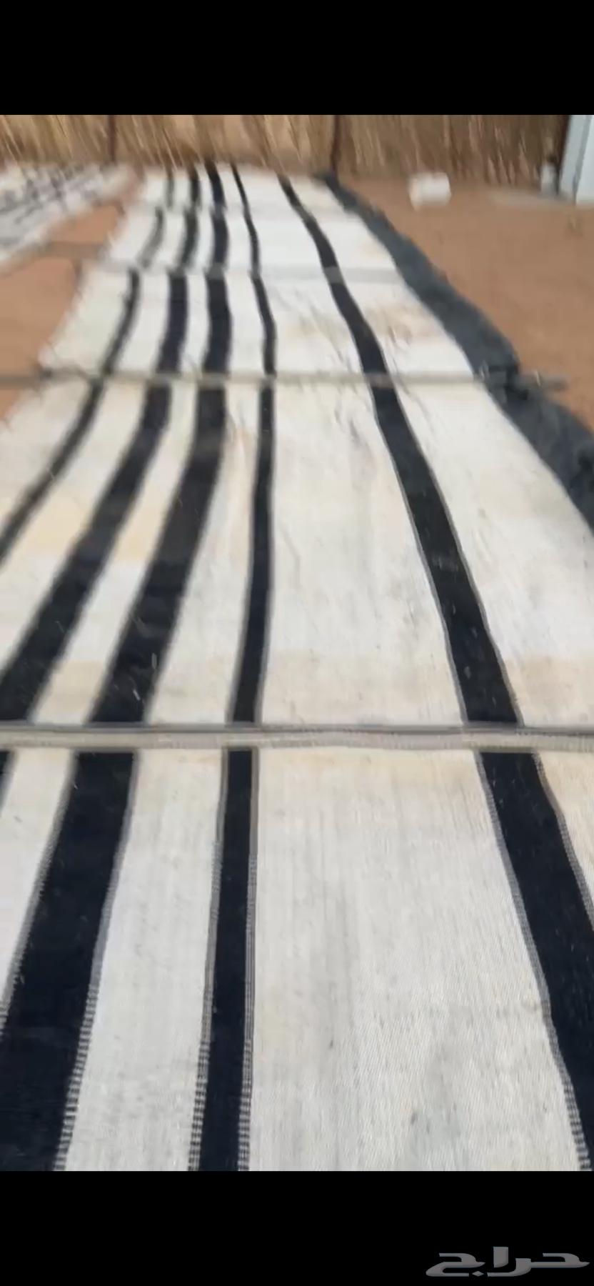 بيت شعر ابيض عمودين 8في 564240892762627110