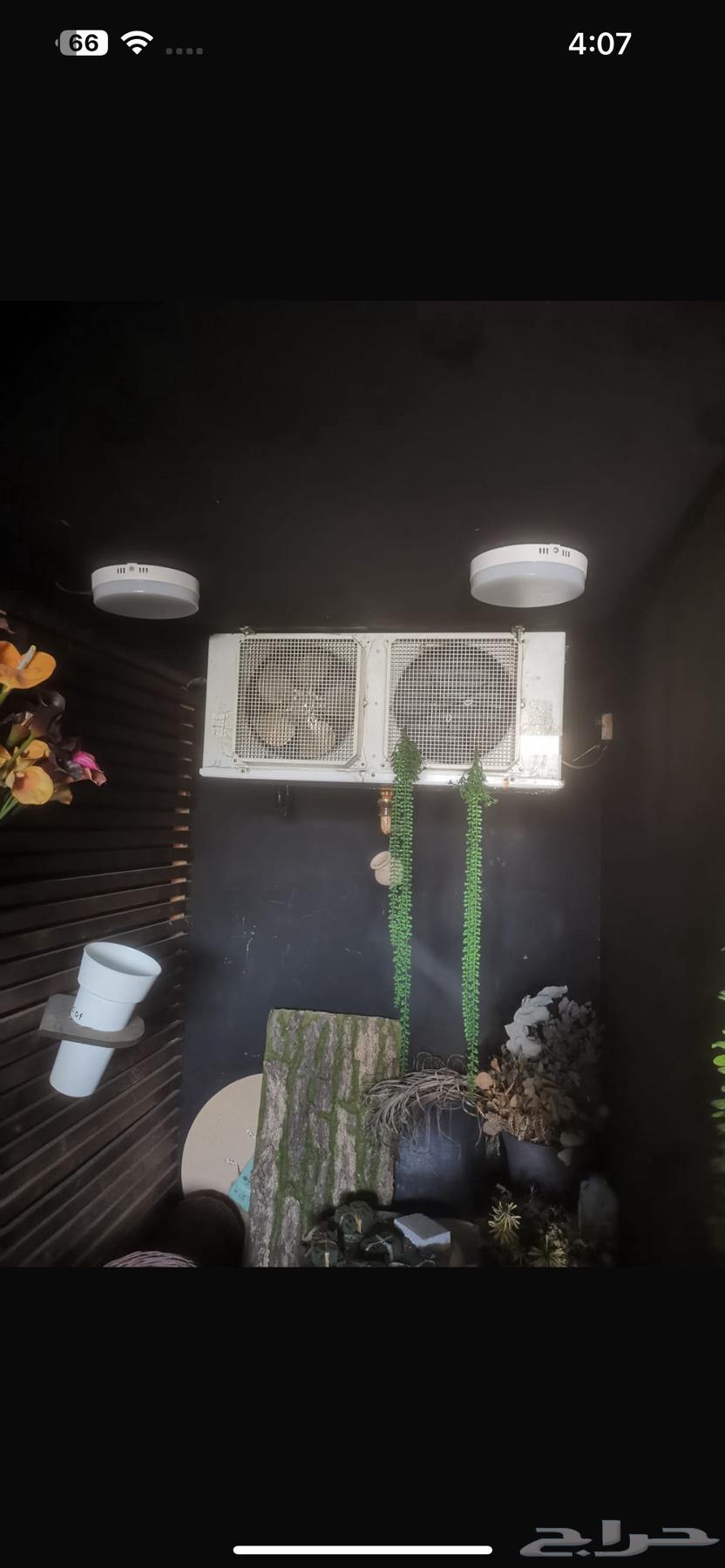 لللبيع64245797570561111