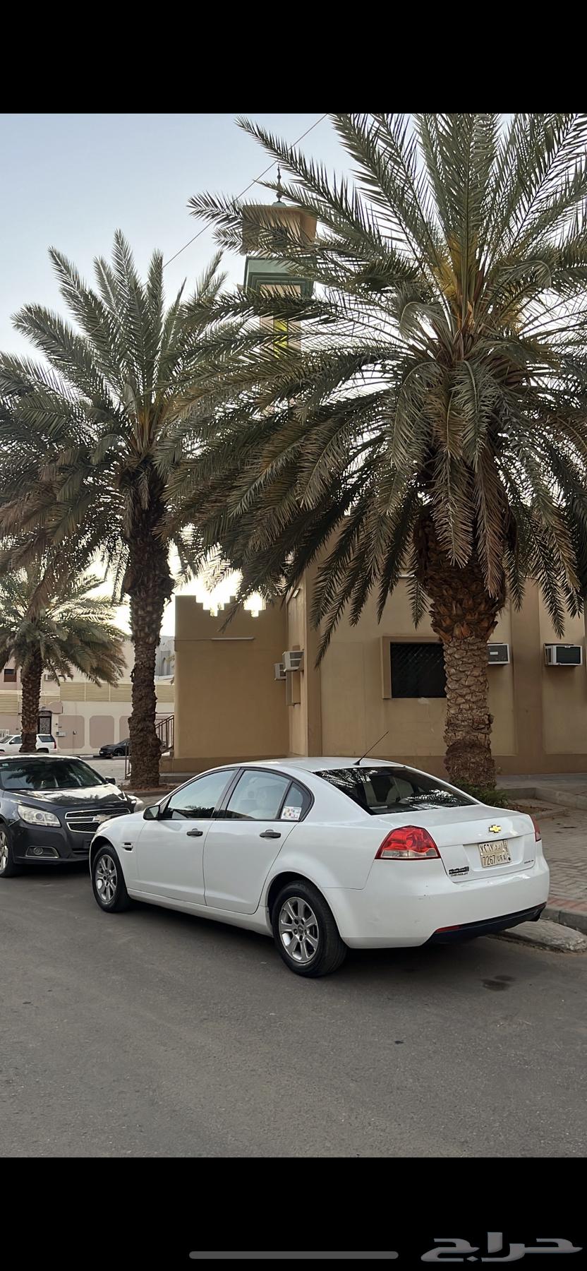 Lumina LS64417359842562110