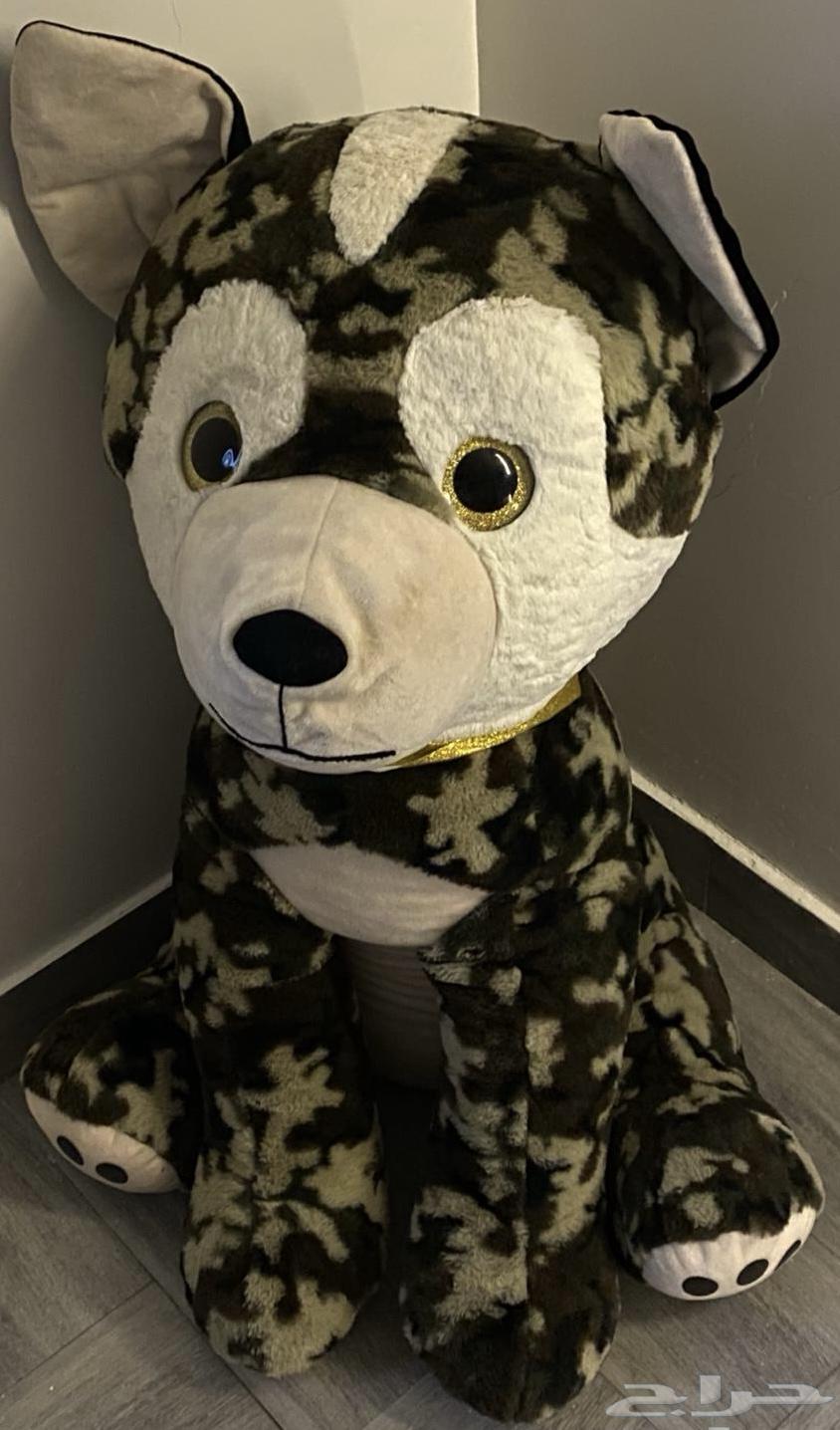 دمية كلب هاسكي سيتي ووك للبيع64239684155395110