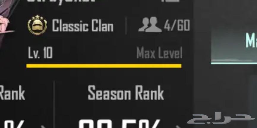 عشيره ببجي64245797632513110