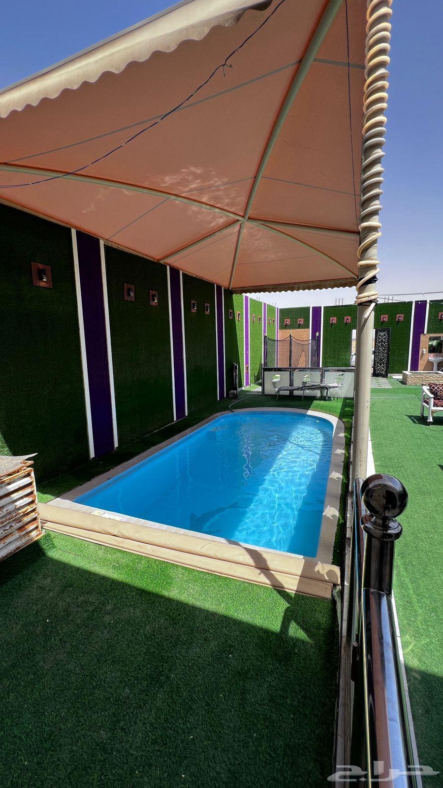 شاليه ايجار يومي شاليهات بشكات جنوب الرياض حي عريض64239534605186110