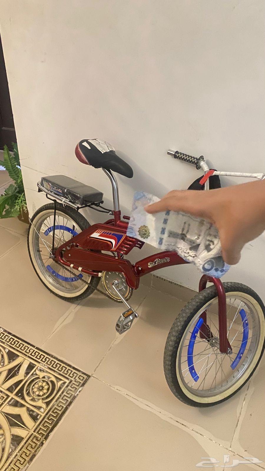 دراجة رامبو مقاس 20 عنابي64234620038403110