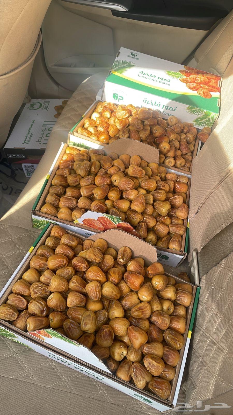 Abu Omar Dates64252480643331111