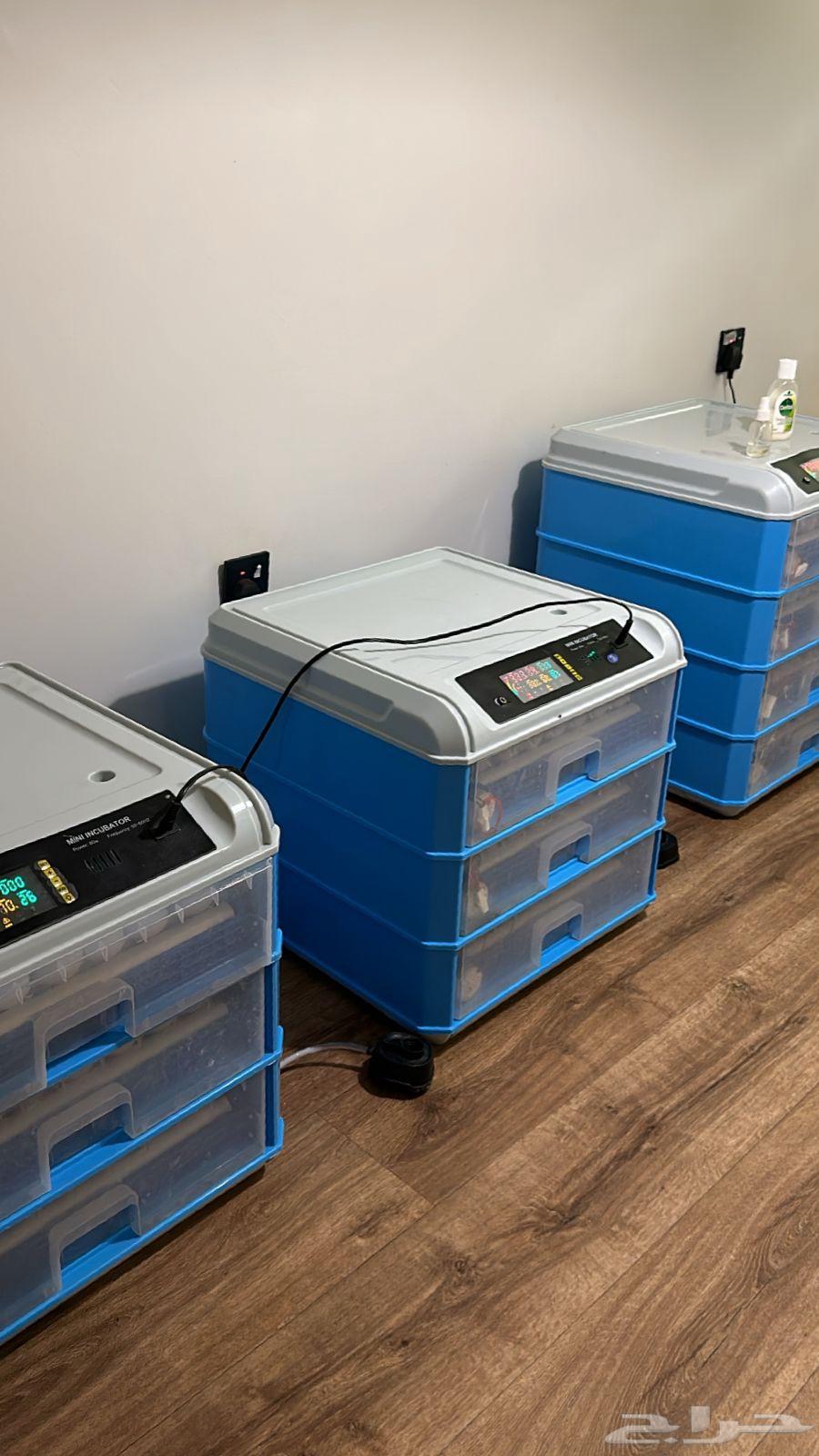 فقاسه للبيع اوتومتيك 32064247162035587111