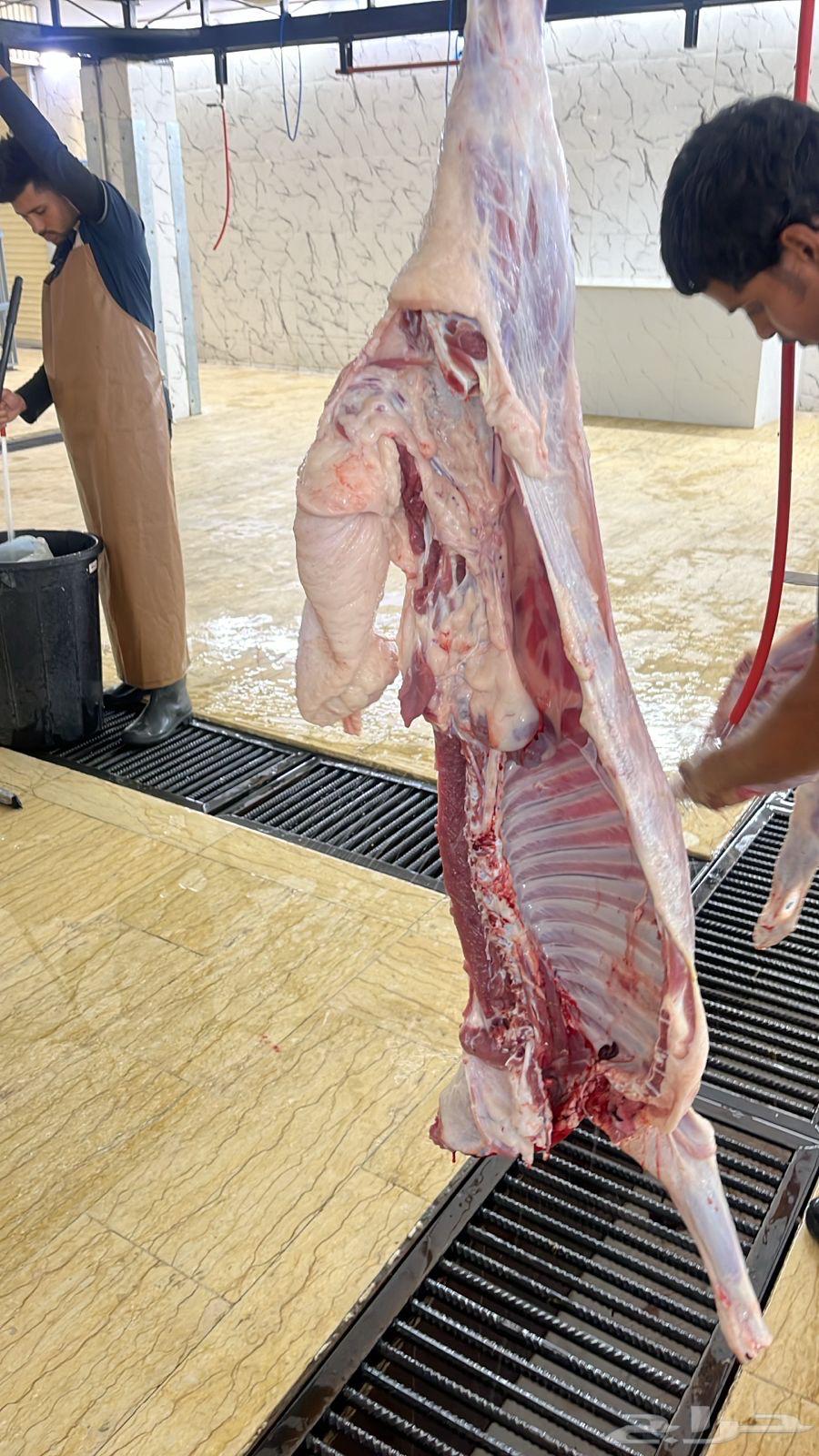 High-quality sheep and goats available64245493917057113