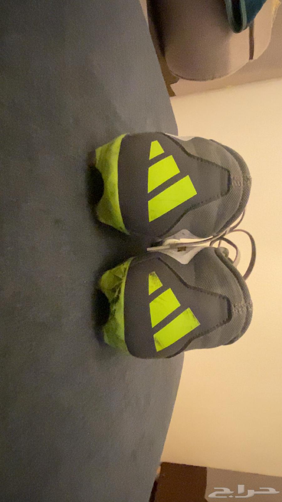 بوت كورة اصلي اديداس Predator المقاس 4564236458819202113