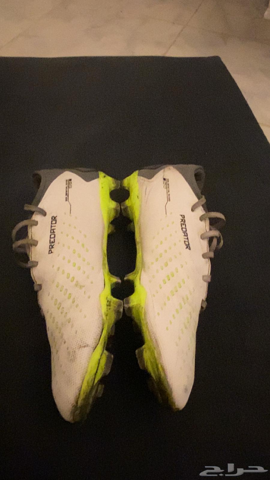 بوت كورة اصلي اديداس Predator المقاس 4564236458819202114