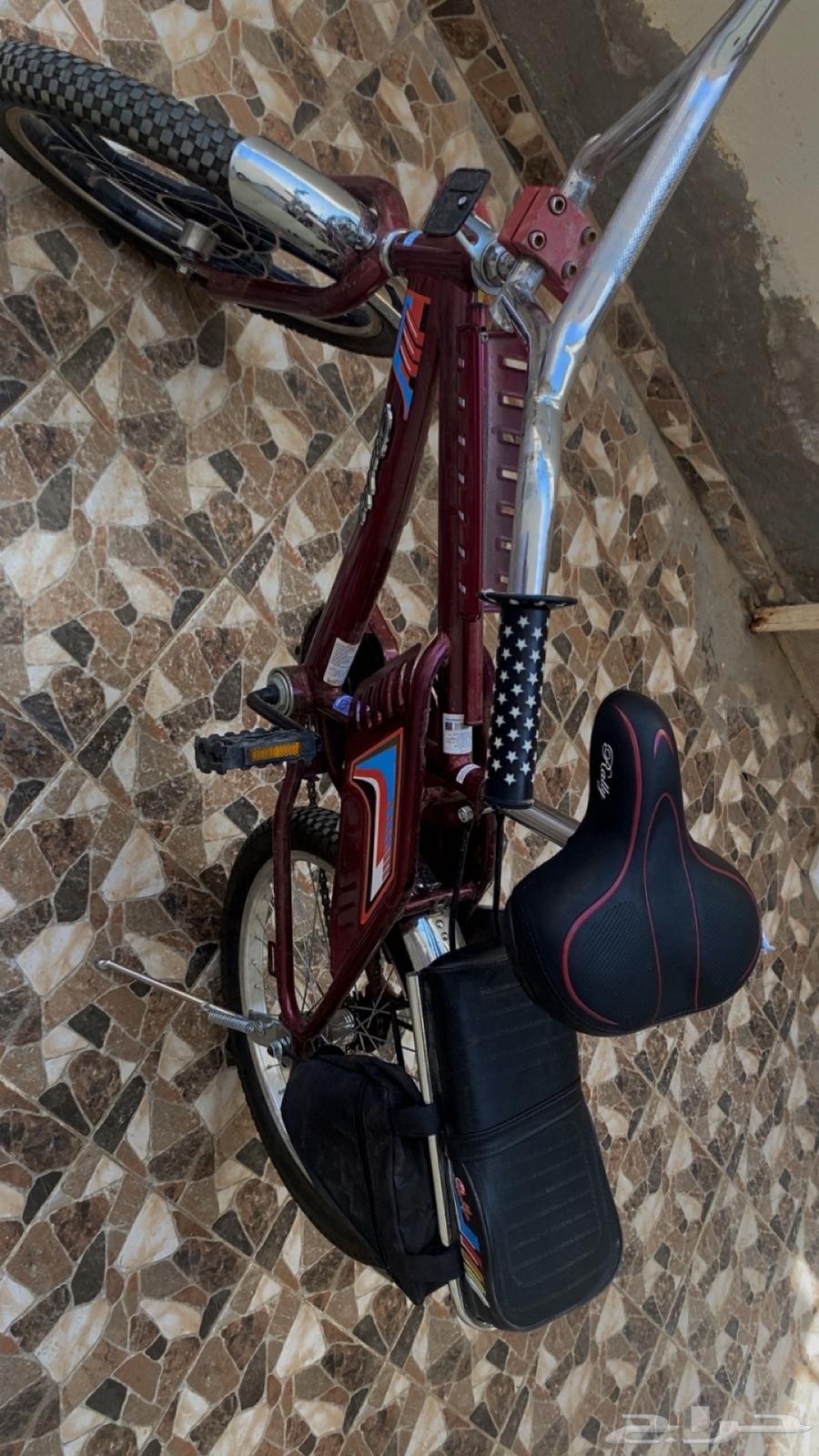 سيكل رامبو عنابي64266487638531111