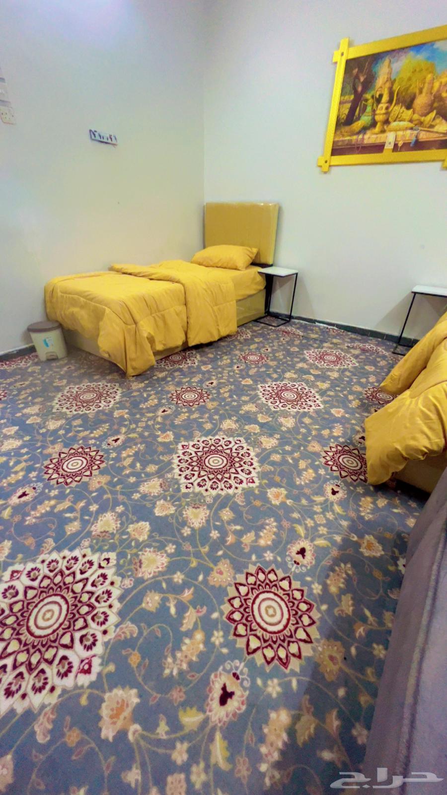 شقة في املج عوائل او طالبات او معلمات64259463140481110