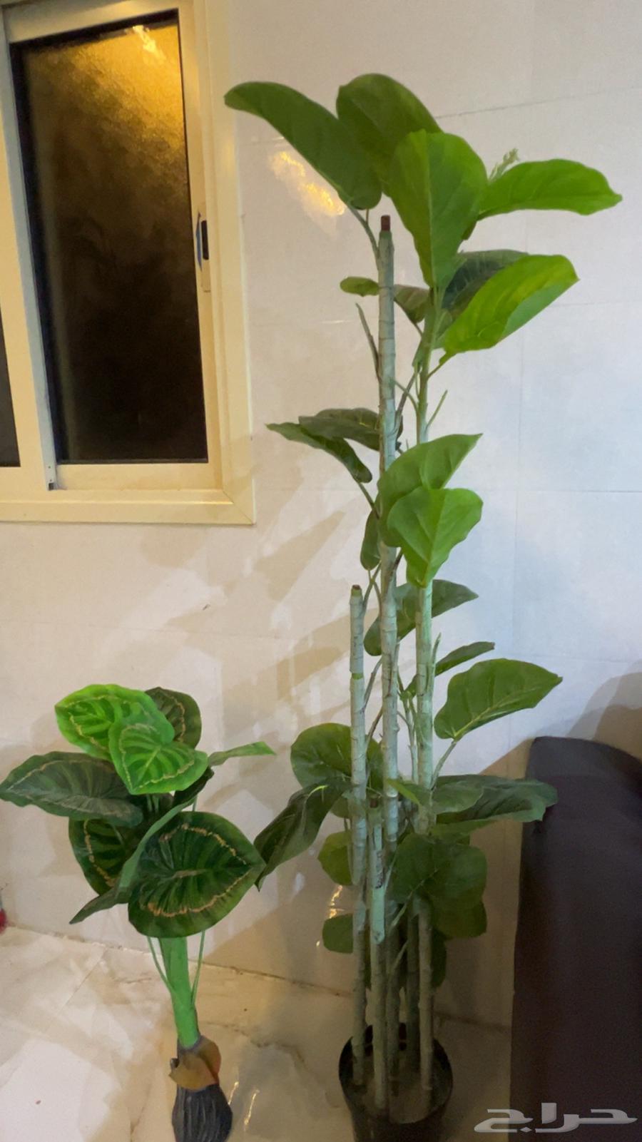 Artificial Trees64257562701827110