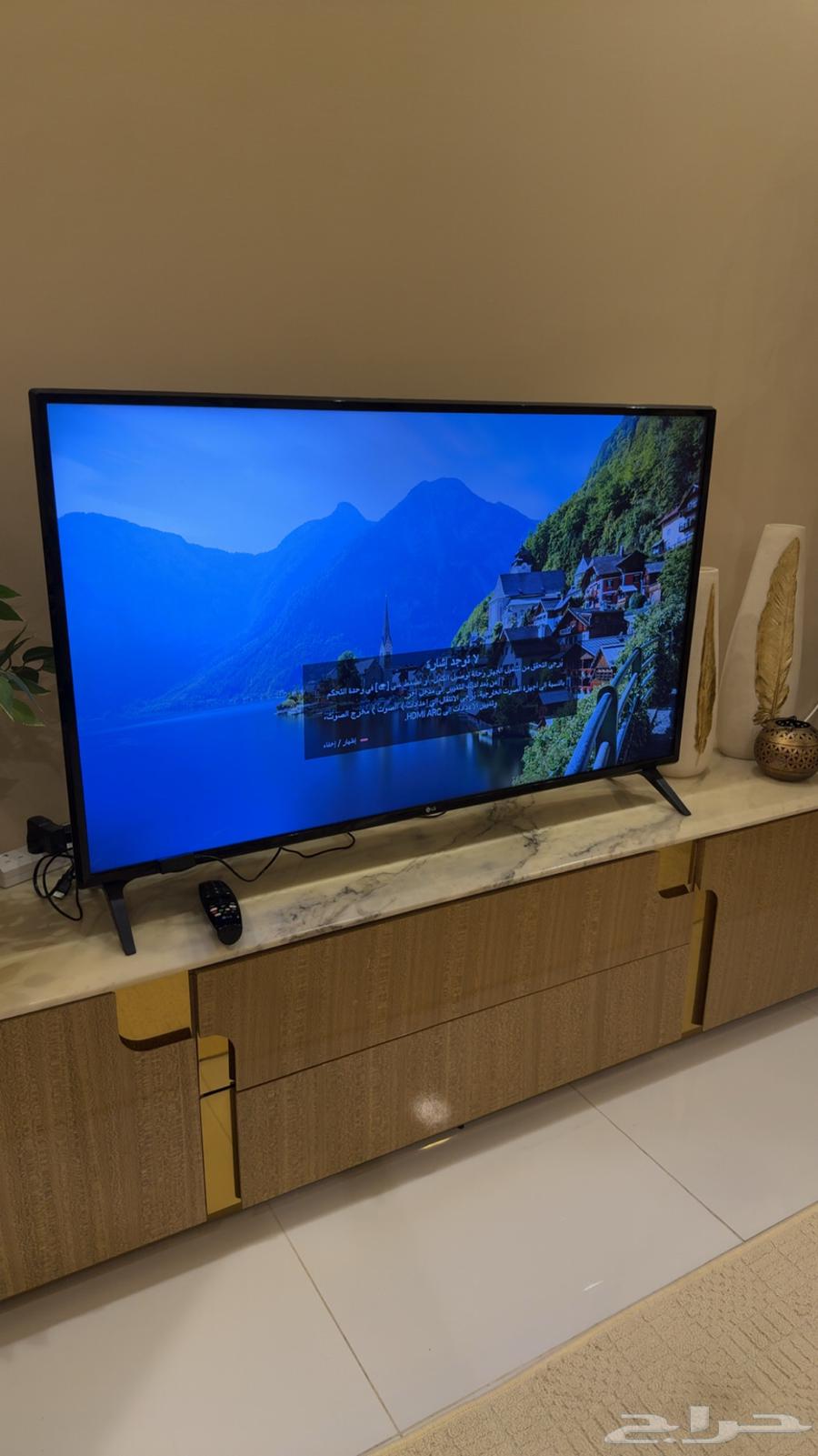 LG 49-inch Smart TV63619155372418112