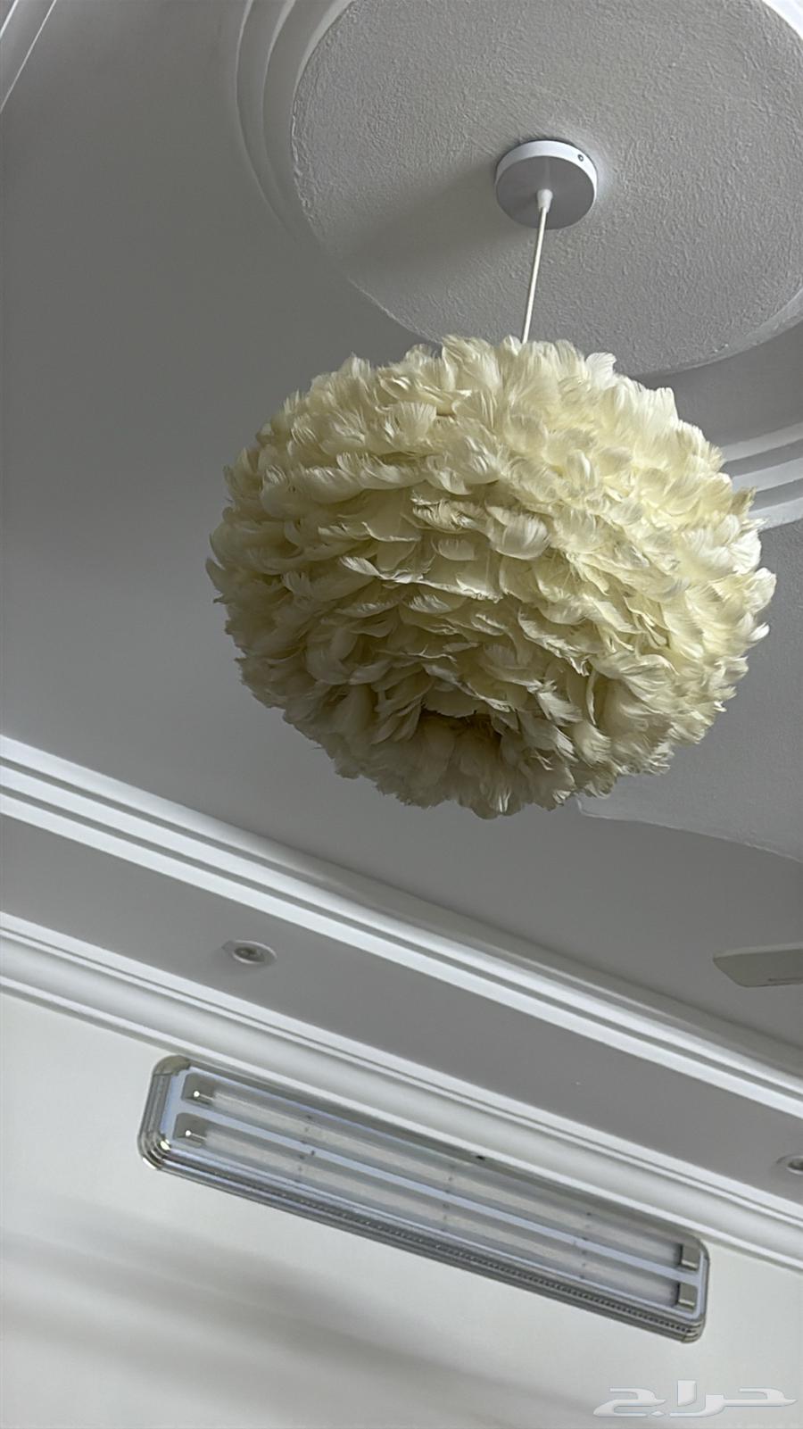 مساند ظهر جديده وخشب قوى حرفL64258062520963111