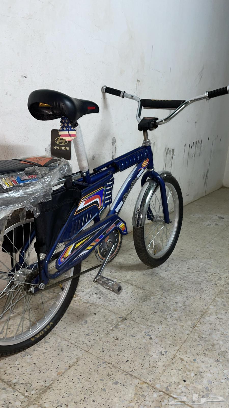 رامبو كحلي للبيع نضيف64264306216834110