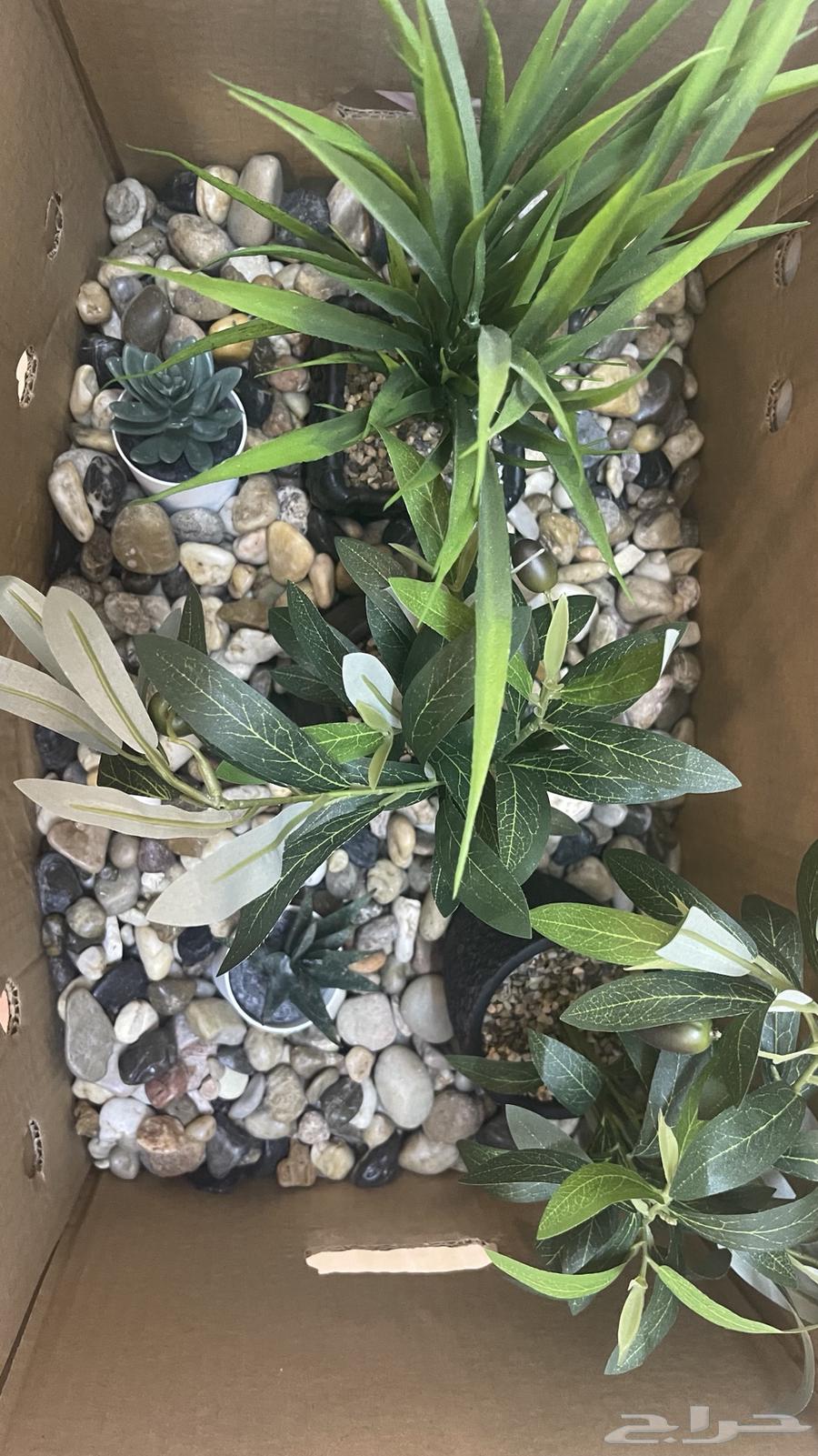 حجر زينه جديد64267891448962110