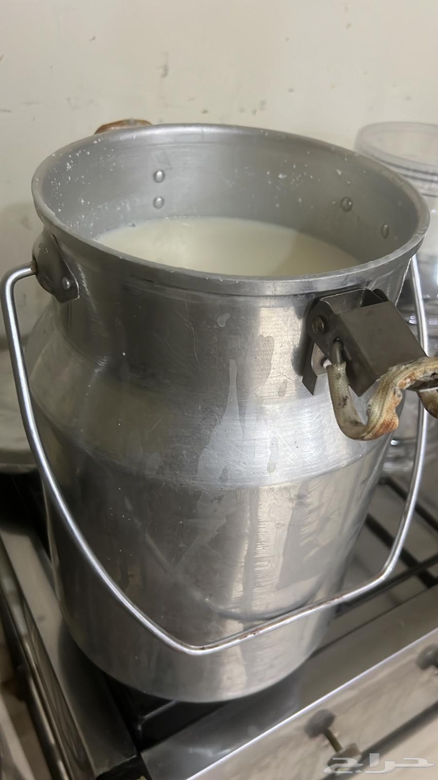 Goat Ghee, Goat Butter, Mudir64261346256770111