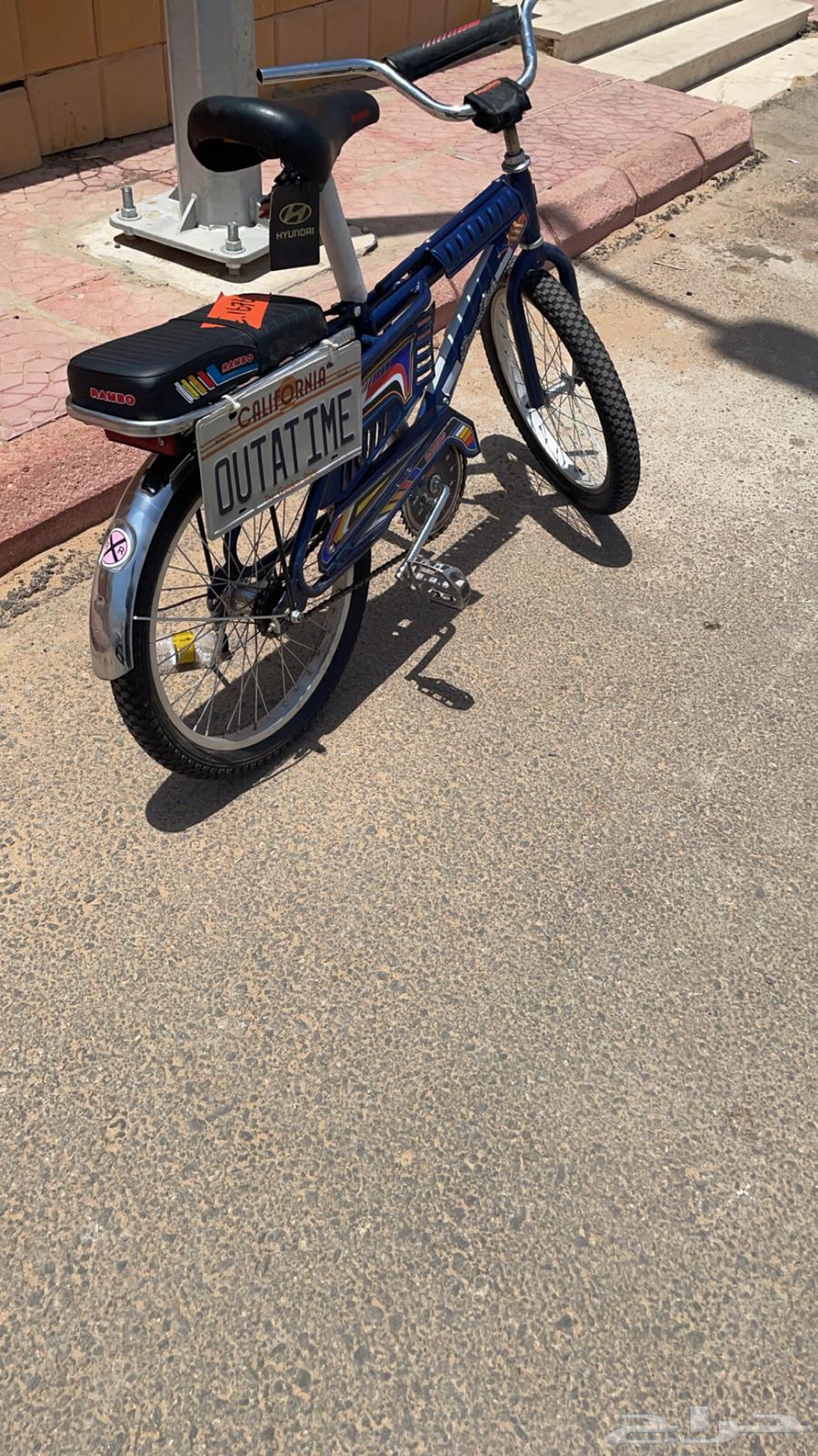 رامبو كحلي للبيع نضيف64264306216834112