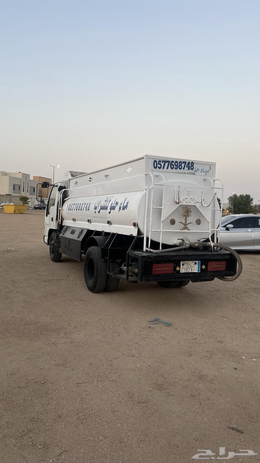 دينا سيزو وايت64383732716802113