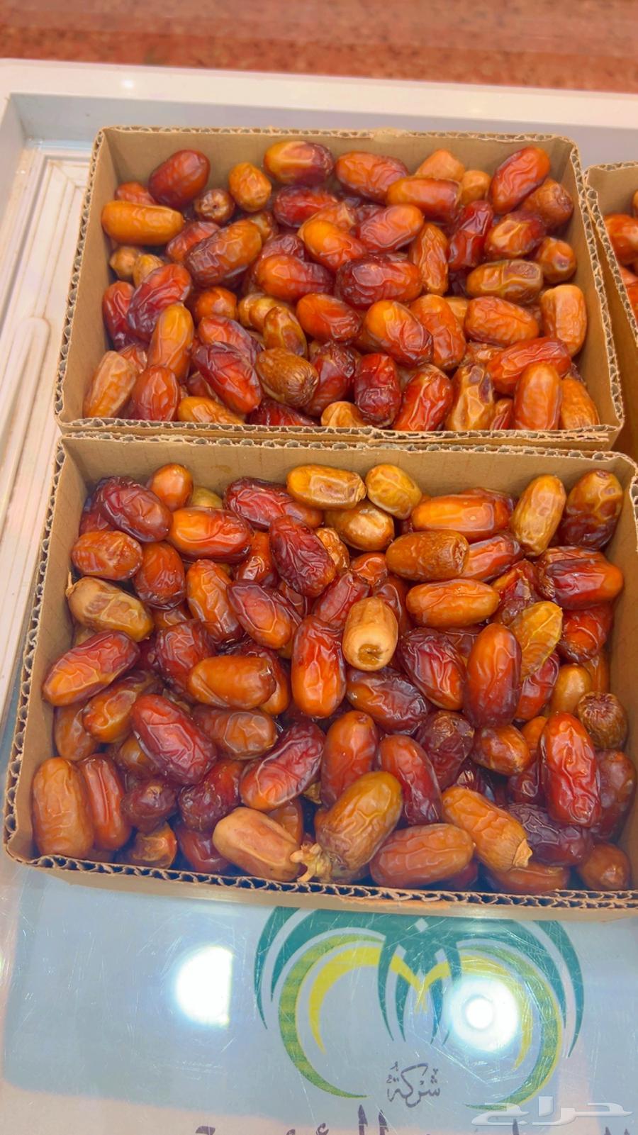 Fresh dates from Al-Kamil Al-Jadeed, produced a week ago64256605197442111