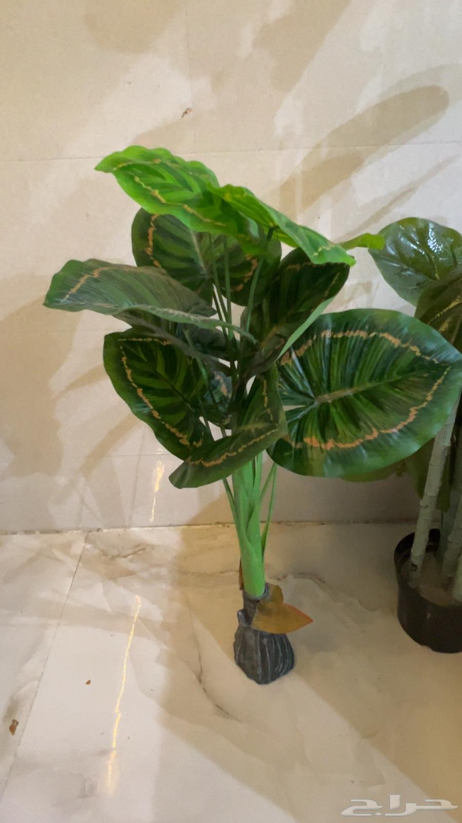 Artificial Trees64257562701827111