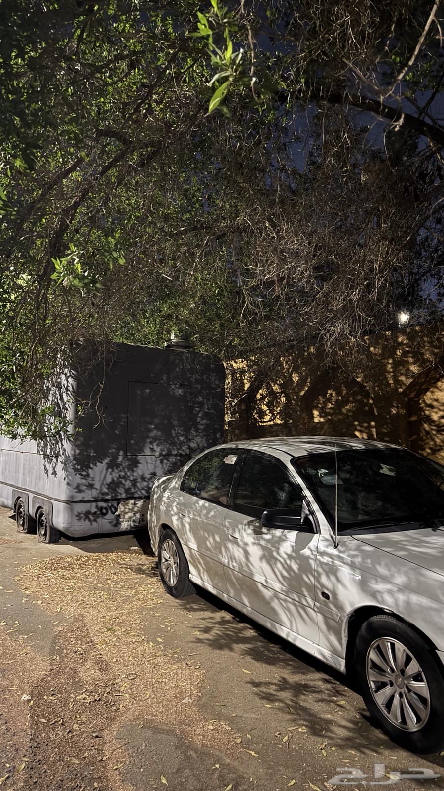 Lumina 200664427677168131110