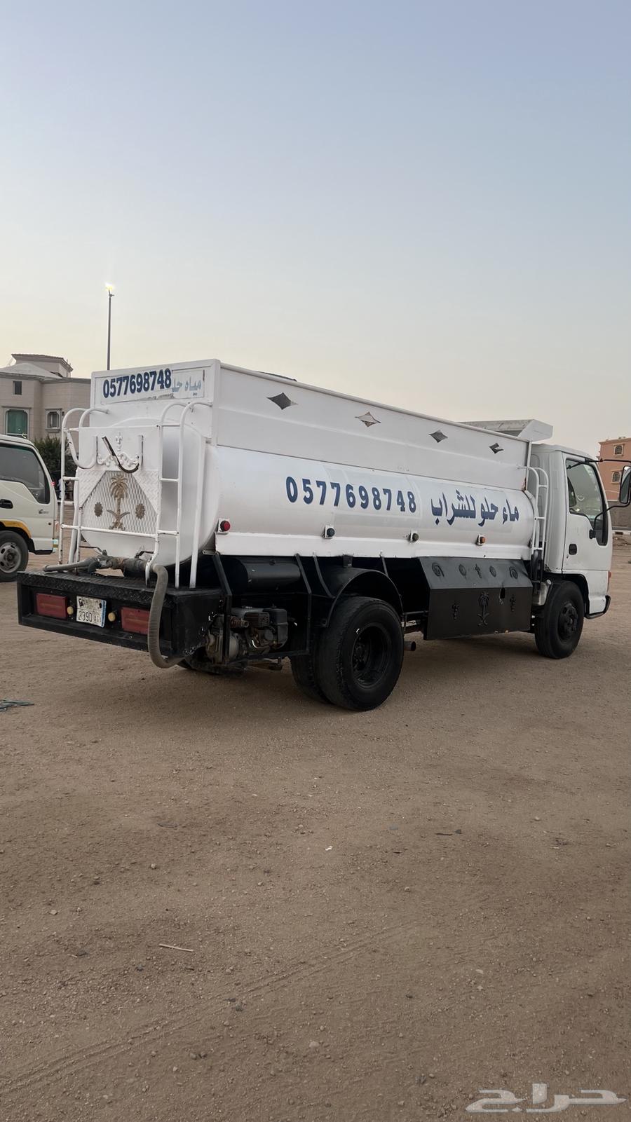 دينا سيزو وايت64383732716802112