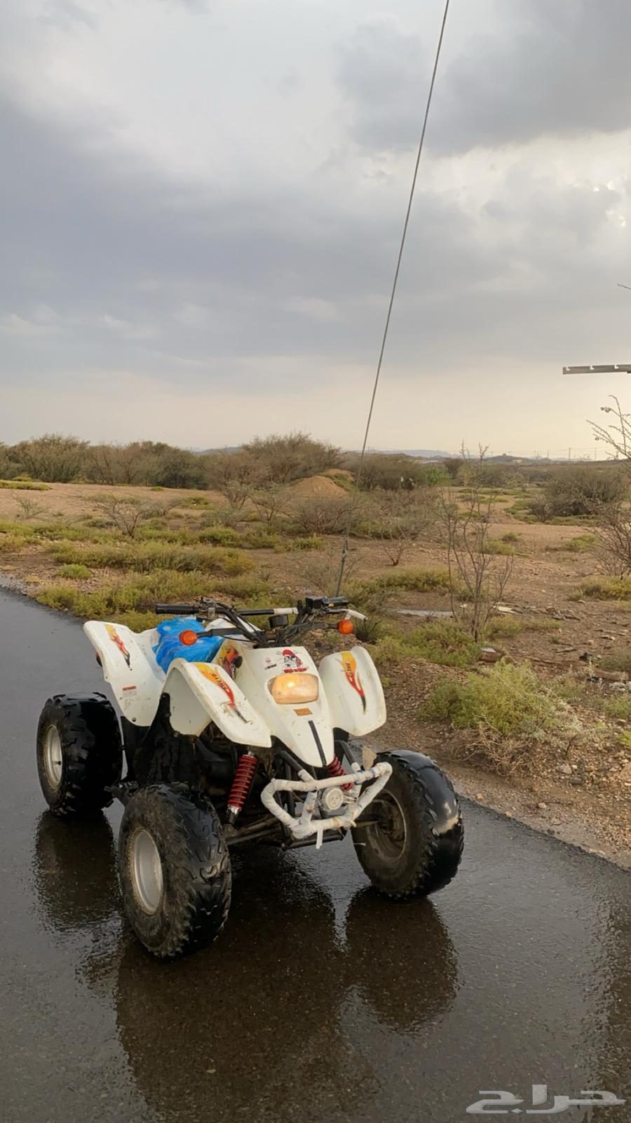 دباب سويدي الحد 300064420054309507111