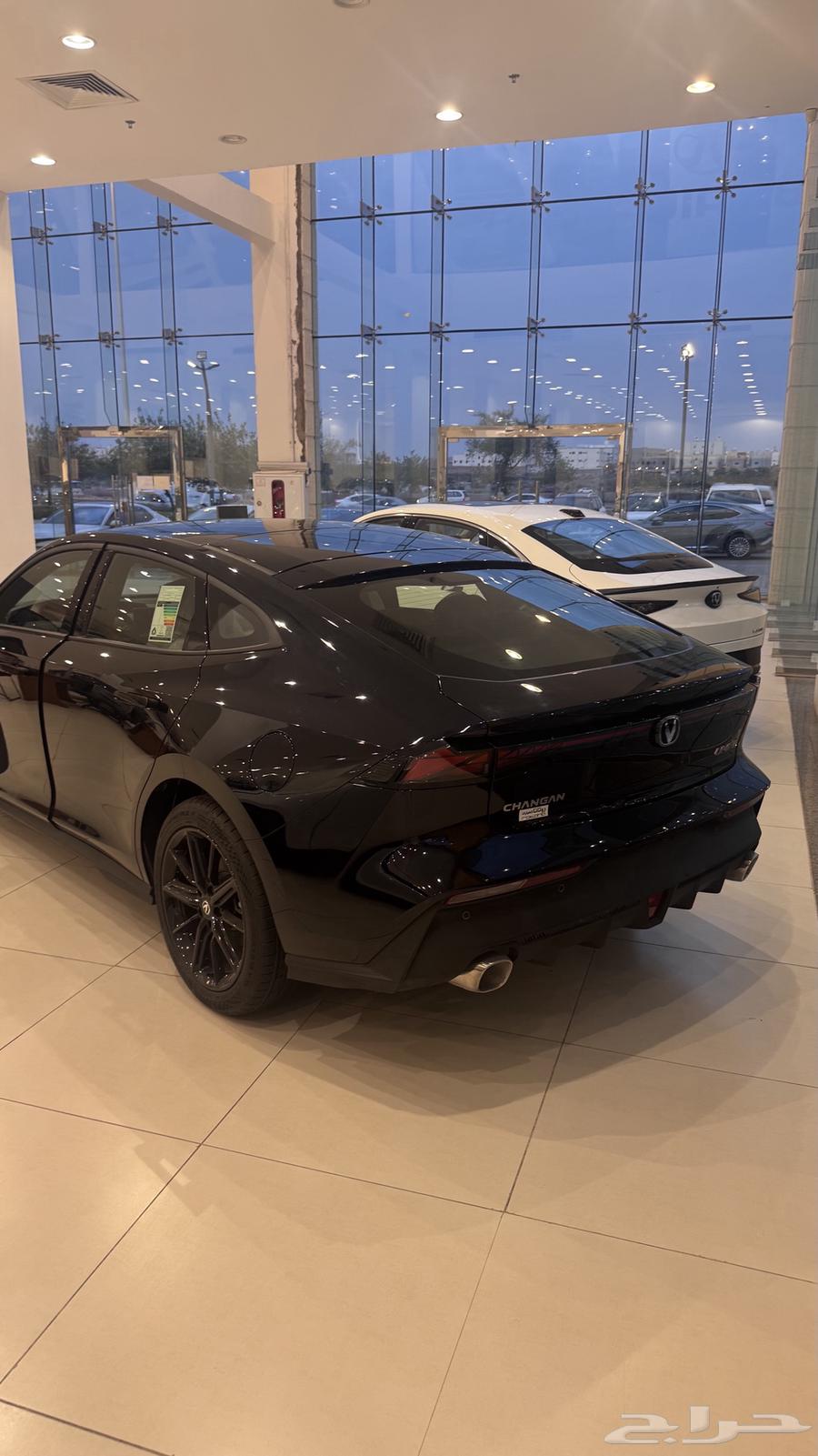 يوني في أيليت بسعر مميز وحصري لفتره الحق الان64420796577155112