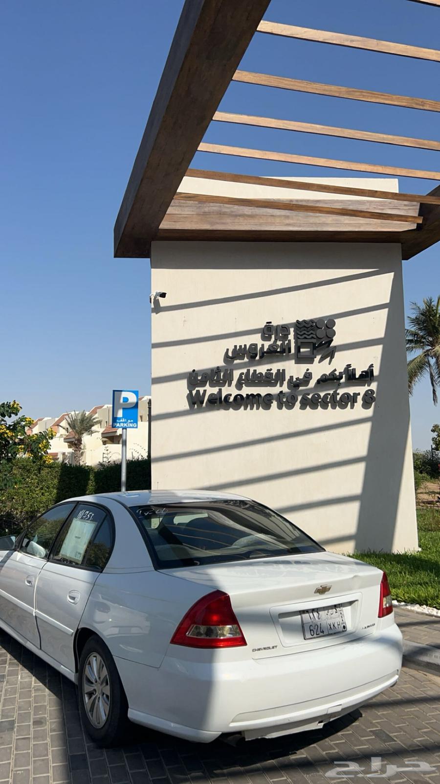 Lumina 200664427677168131113