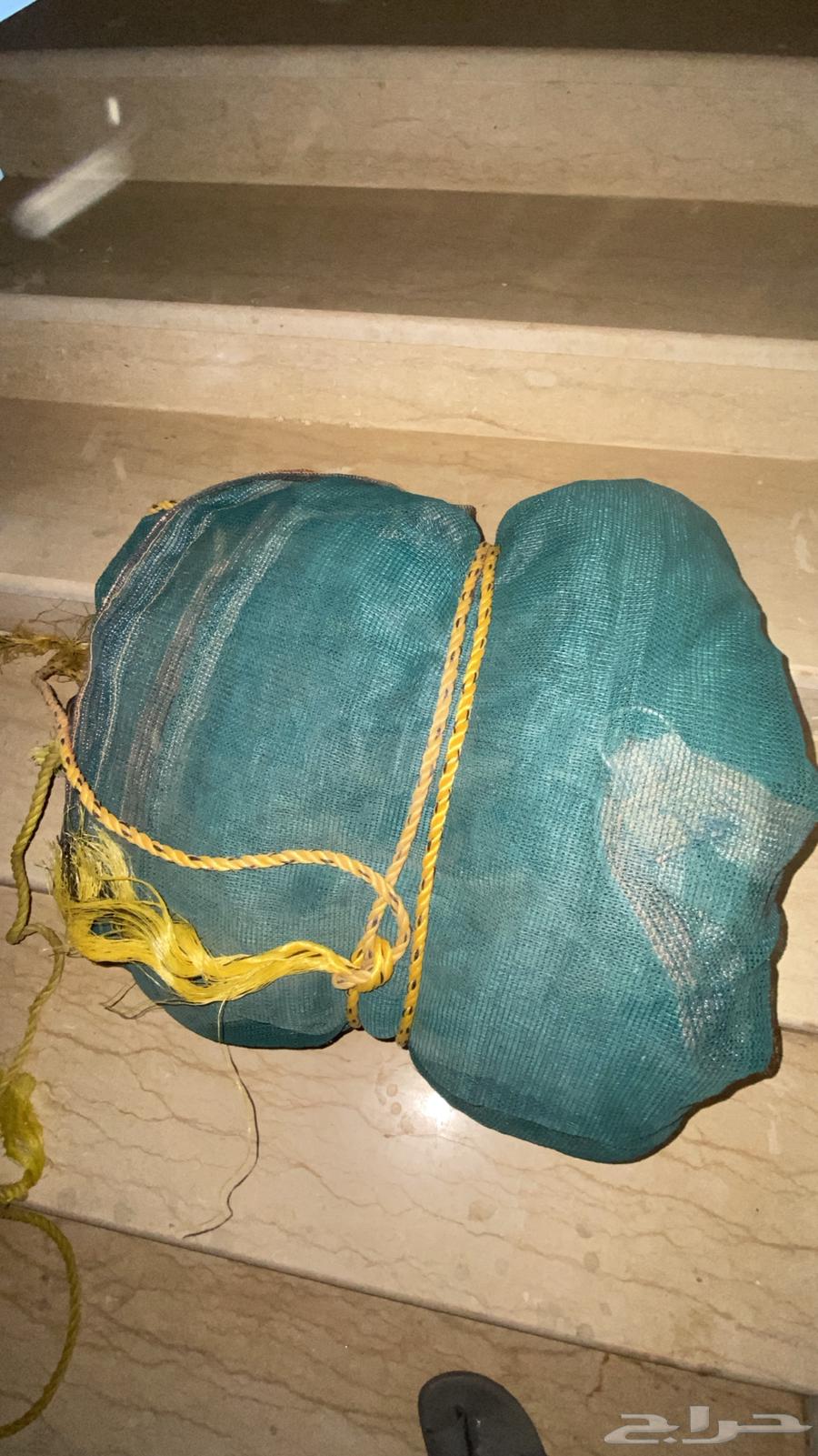 شراع للبيع64421107116163111