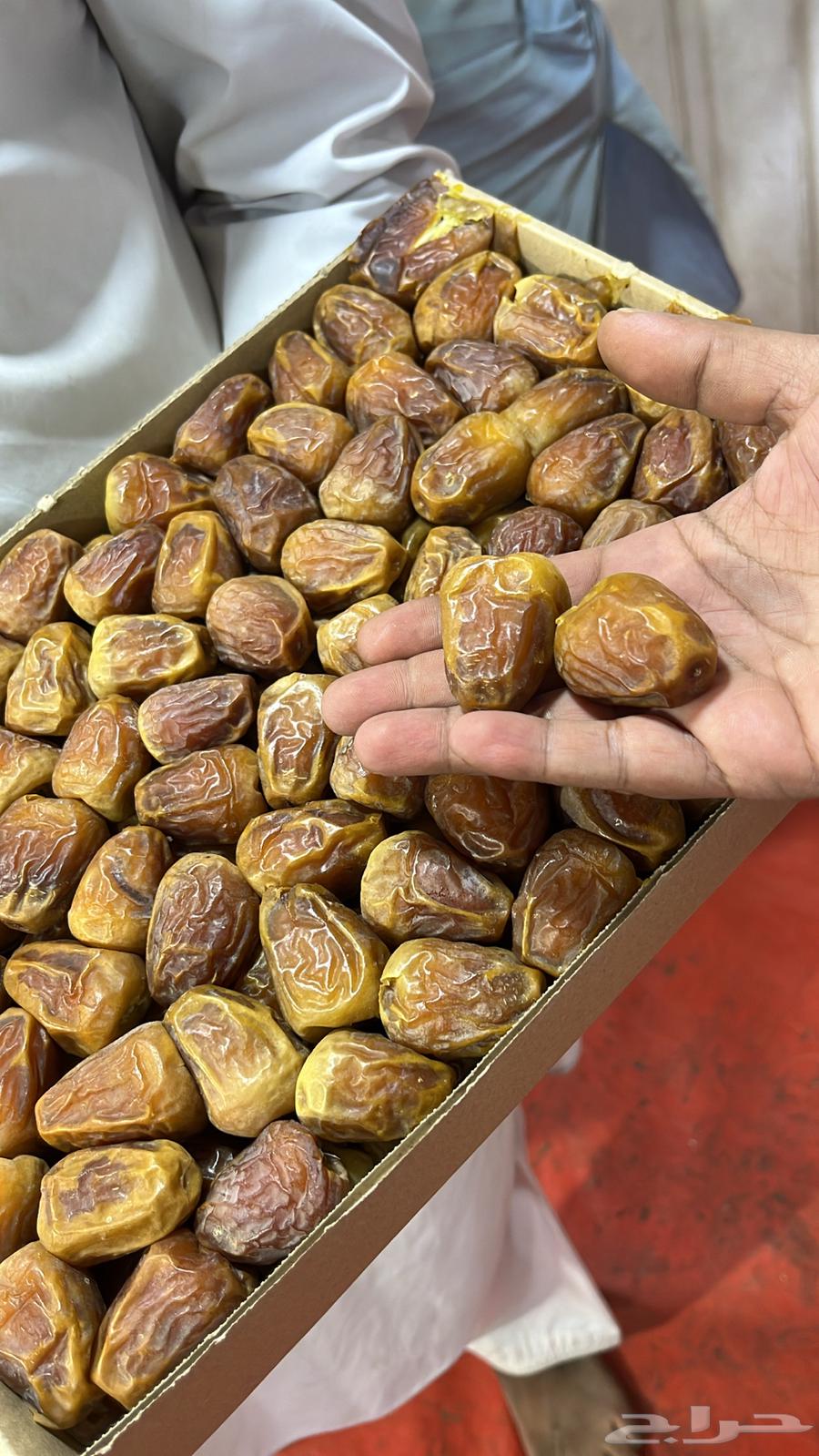 Al-Qassim Dates Sukkari Maftee and Galaxy64267530981378112