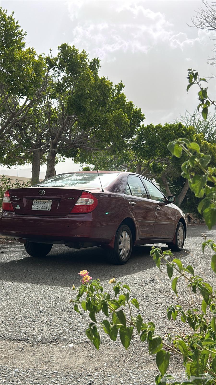 Camry 200464422639727745113