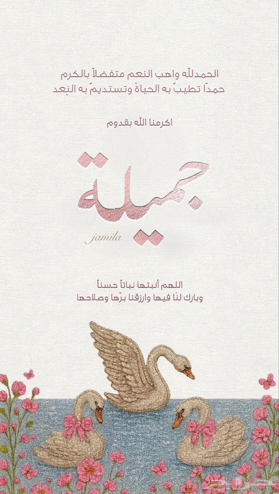 عرض بمناسبة اليوم الوطني بشارة مولود مميزة بسعر 10 ريال فقط64262195491459112