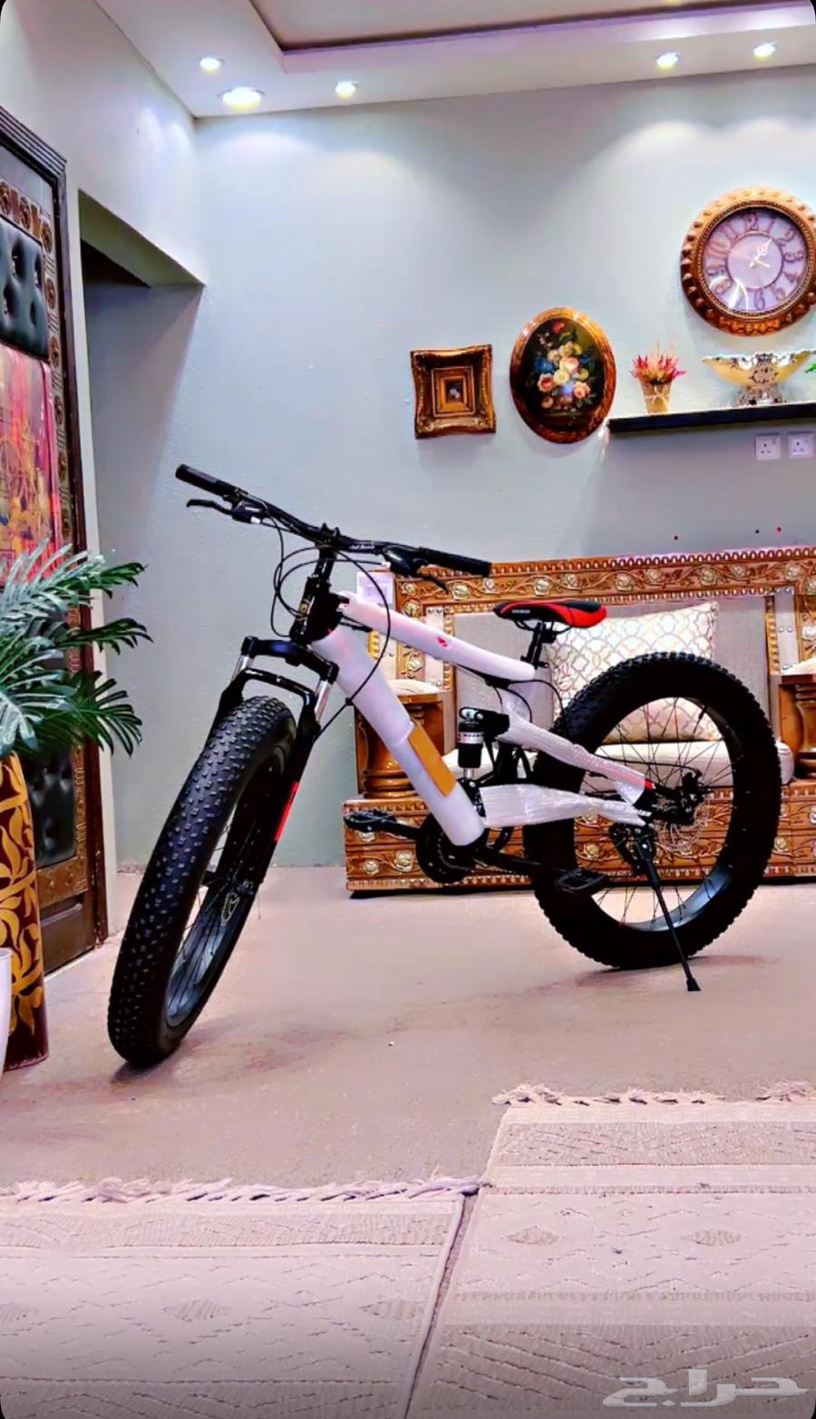 دراجه نادره وشكل جميل مقاس 2664269980400131110