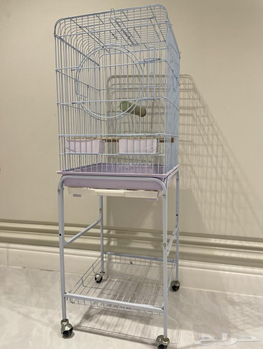 قفص كبير للببغاوات بعجلات64245301435521110