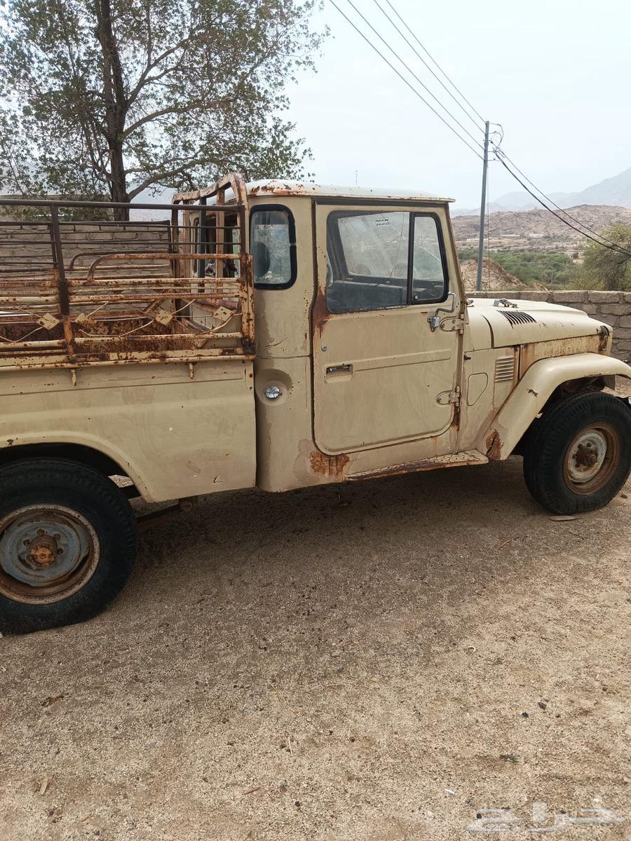 جيب شاص 8364427169509250114