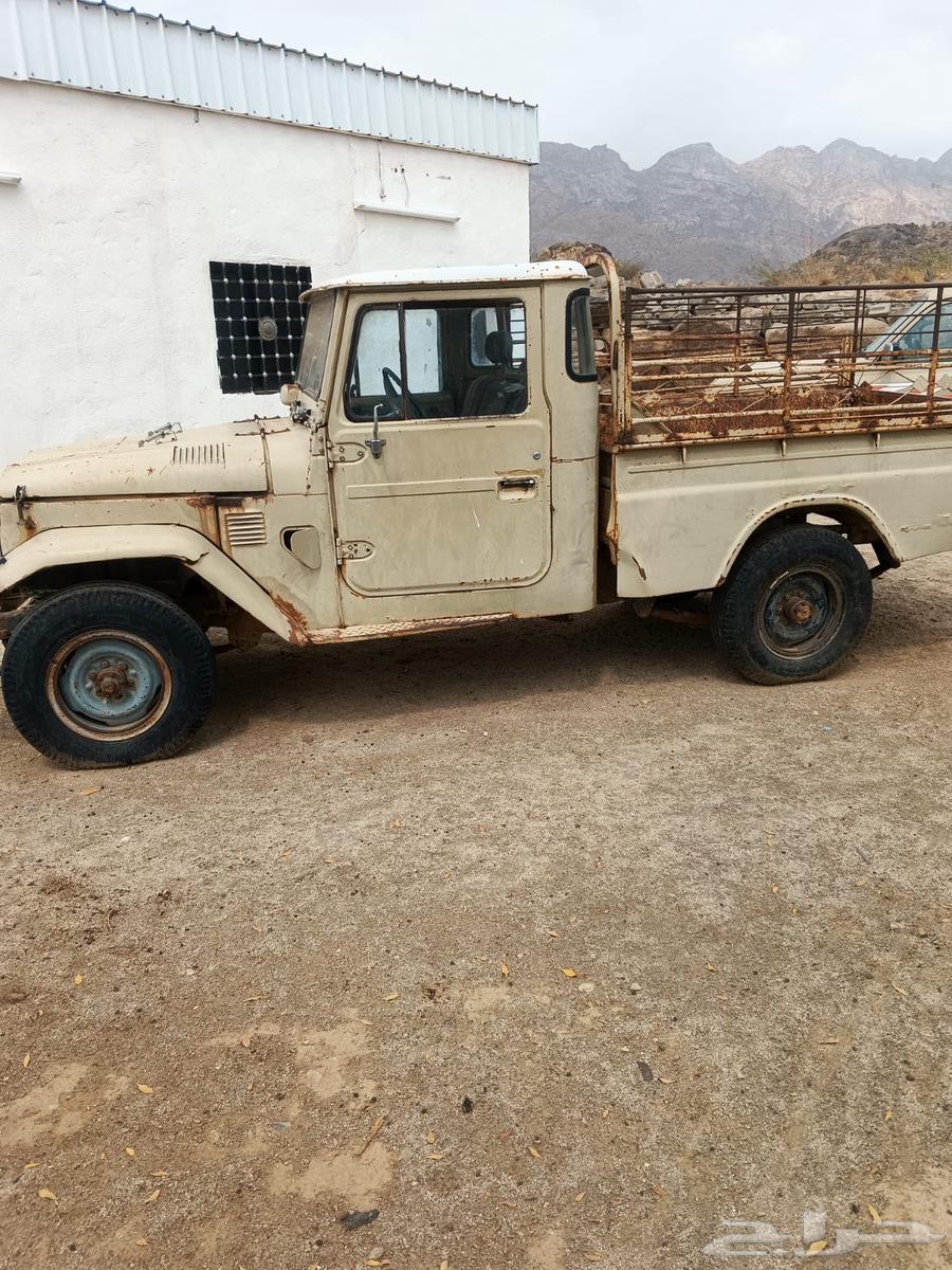 جيب شاص 8364427169509250111