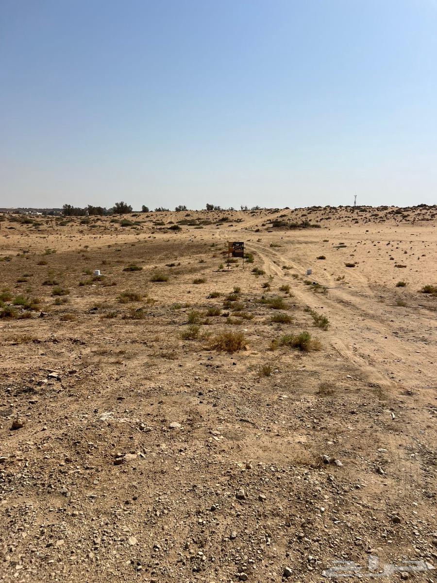 Land in Al Malqaa Scheme in Buraydah with an area of (479)63613595122563111