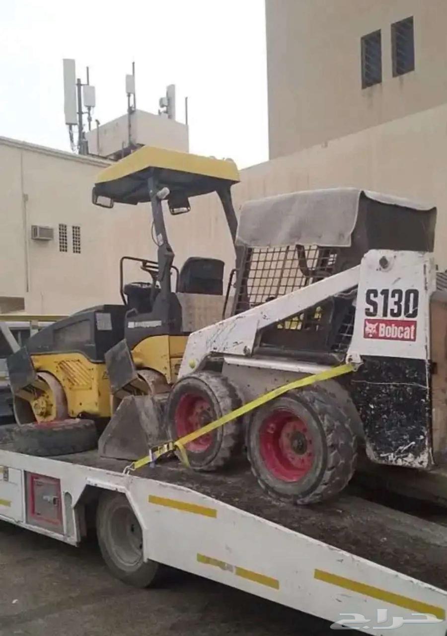 Bobcat and Rassasa64426214526977110