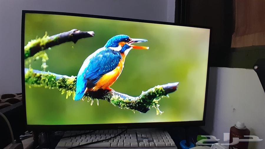 شاشة تلفزيون 32 بوصه64258390498819111