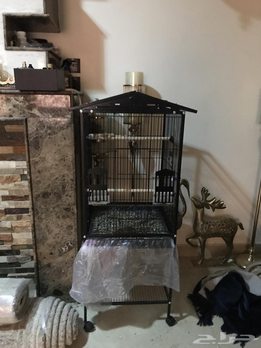 ببغاء دره هندي وقفص كبير64261855302530112