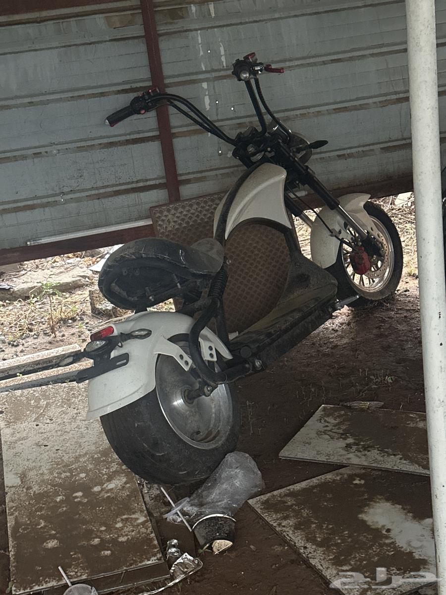 سكوتر هابيز64261176385795110