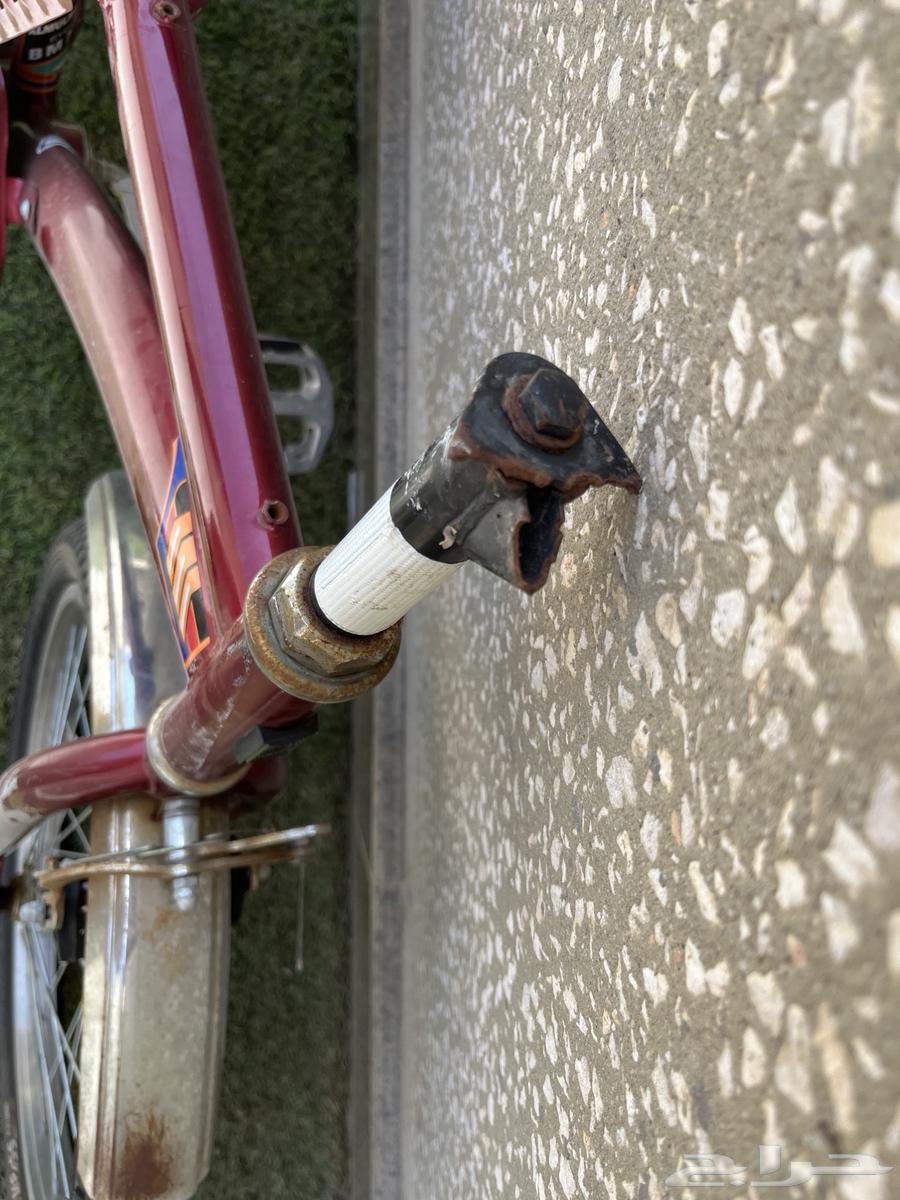 سيكل رامبو مقاس 2064264096533761113