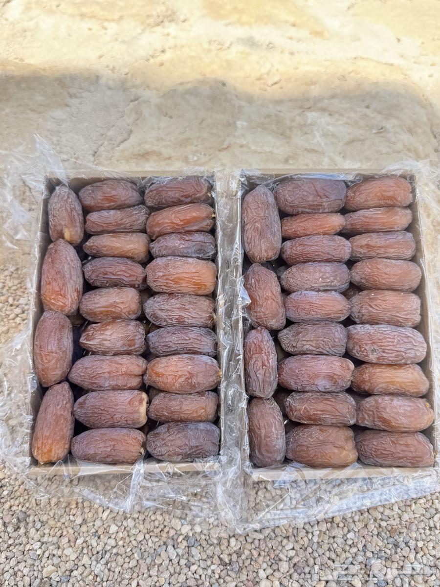 للبيع تمر مجدول فاخر جدا انتاج خاص64263909725187113